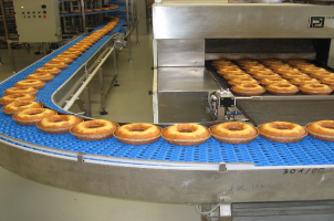 Belt Conveyor Systems